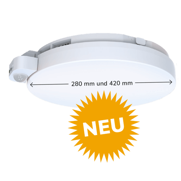 Cleoes Pro Web 2.png